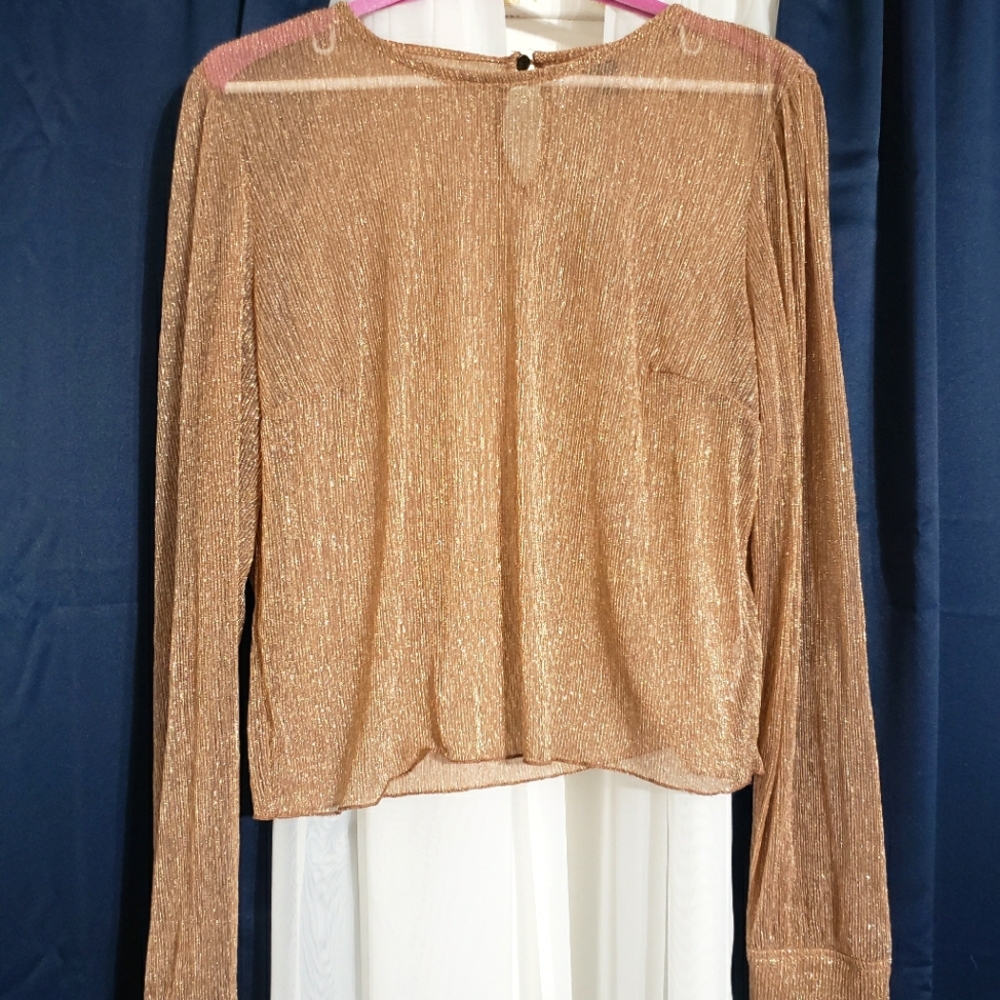 Sparkly, shear blouse.